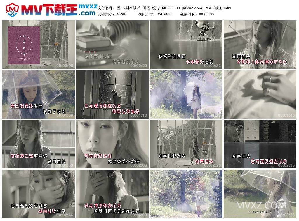 雪二-别在以后_国语_流行_ME600899